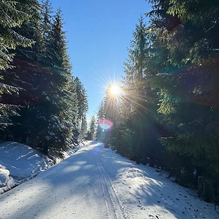 Appartamento Mitterdorf Almberg X29 Mitterfirmiansreut Esterno foto