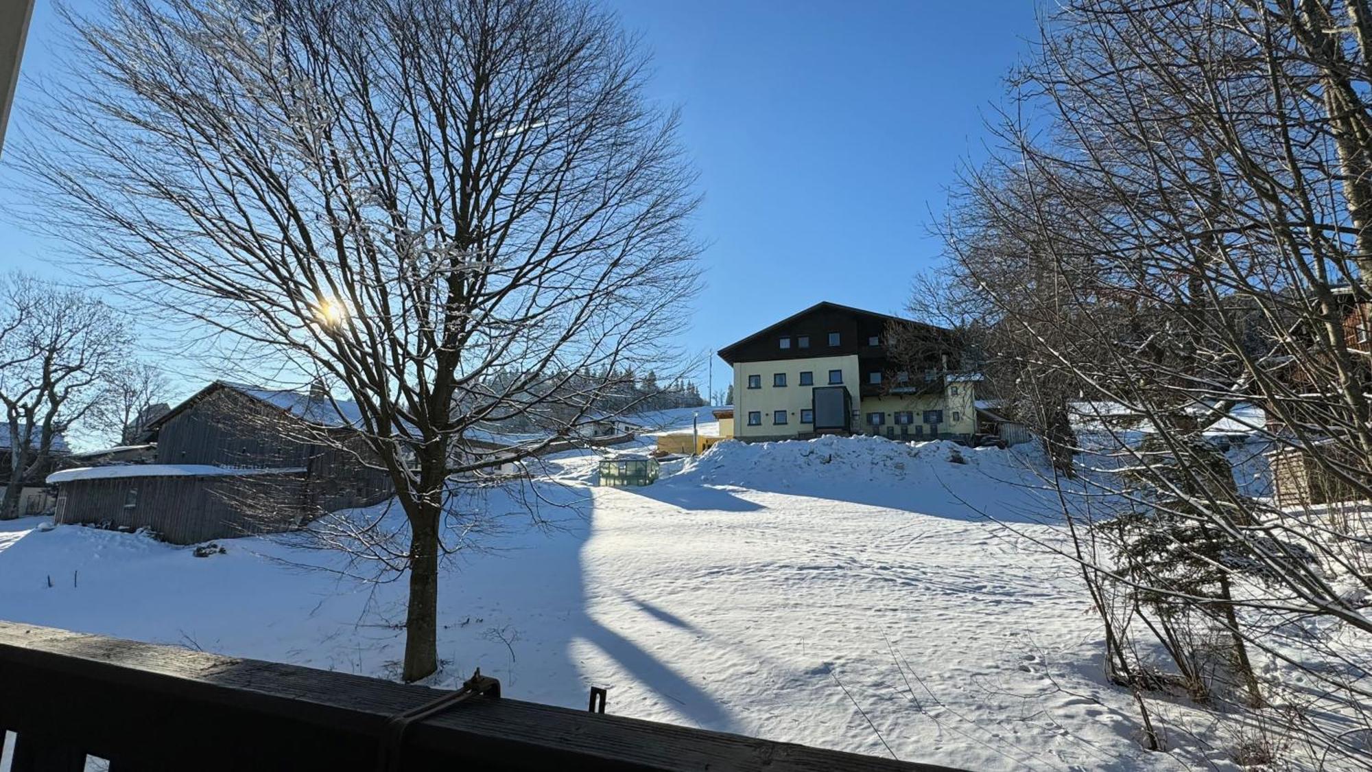 Appartamento Mitterdorf Almberg X29 Mitterfirmiansreut Esterno foto