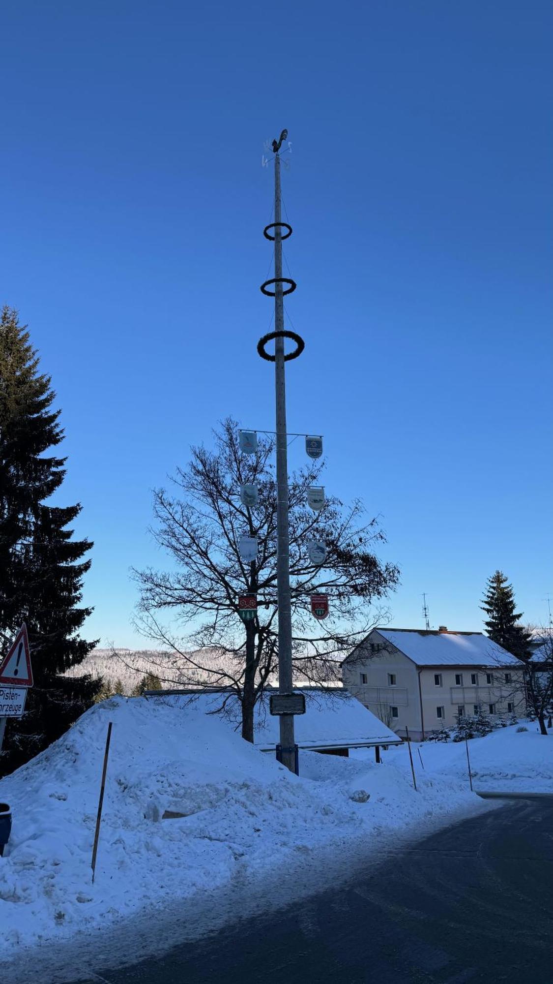 Appartamento Mitterdorf Almberg X29 Mitterfirmiansreut Esterno foto