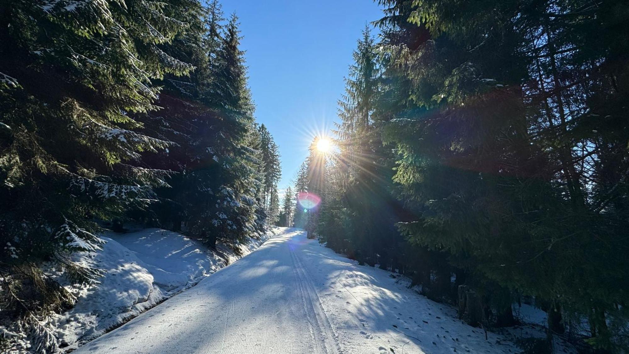 Appartamento Mitterdorf Almberg X29 Mitterfirmiansreut Esterno foto
