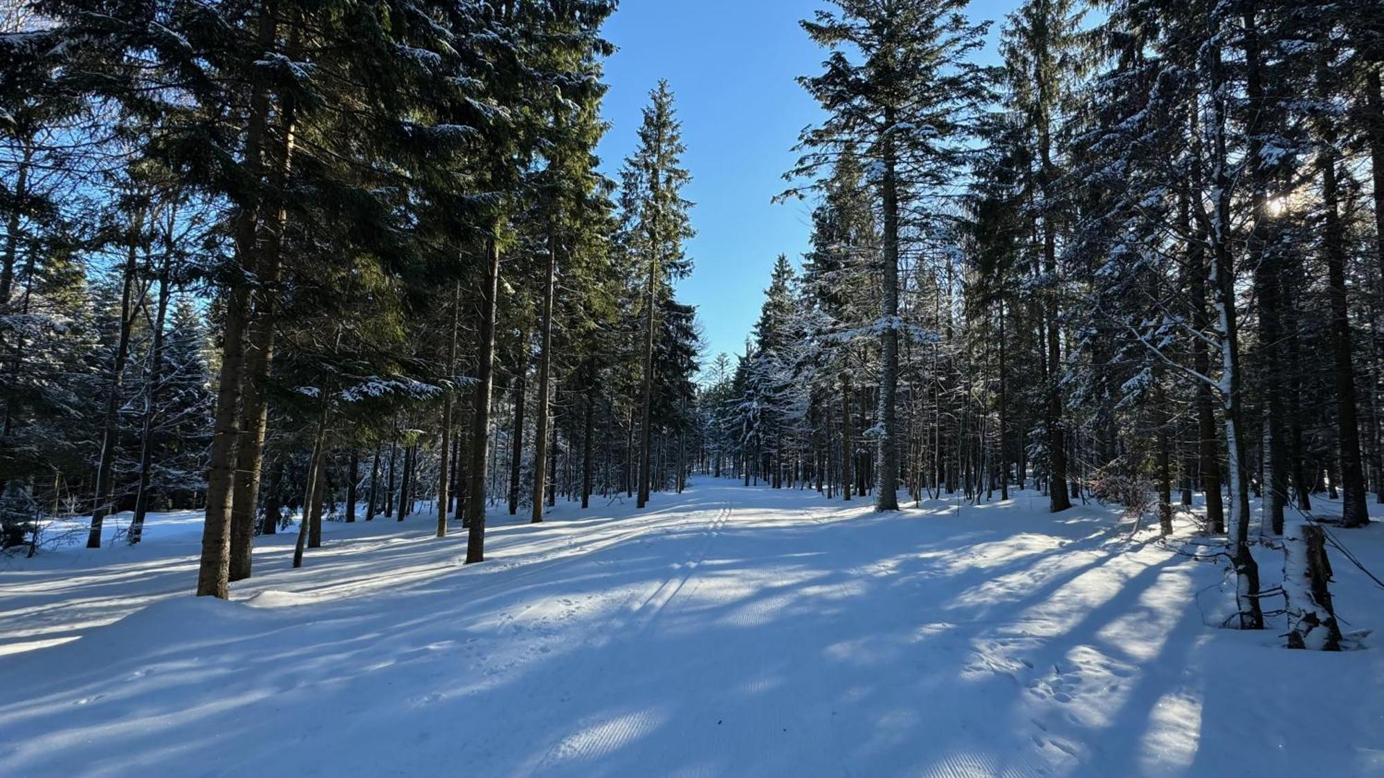 Appartamento Mitterdorf Almberg X29 Mitterfirmiansreut Esterno foto