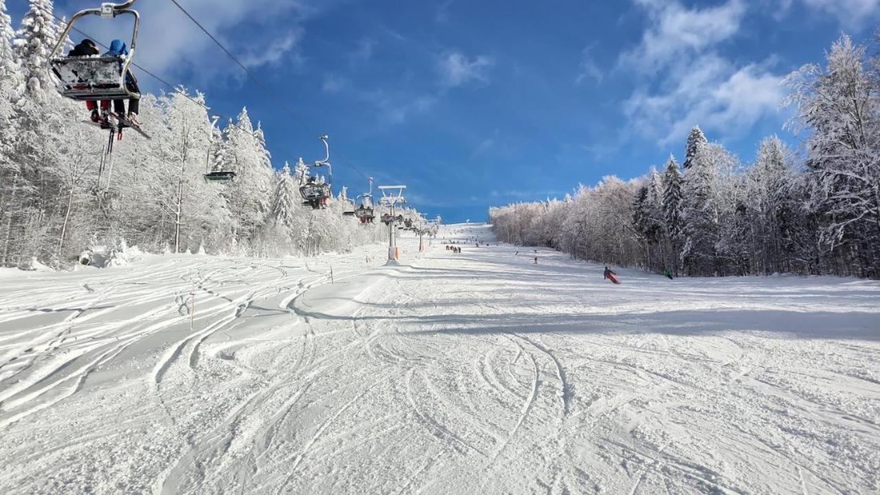 Appartamento Mitterdorf Almberg X29 Mitterfirmiansreut Esterno foto