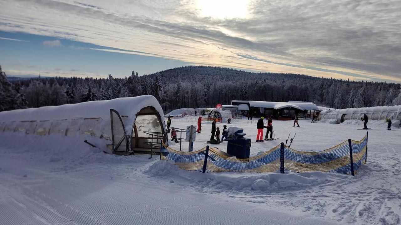Appartamento Mitterdorf Almberg X29 Mitterfirmiansreut Esterno foto